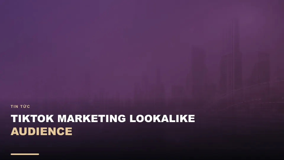 Tiktok marketing lookalike audience