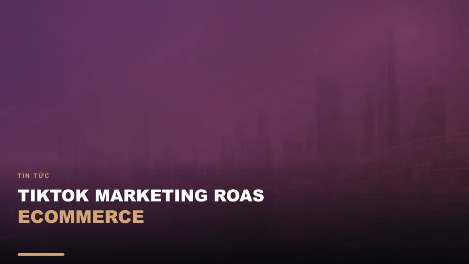 Tiktok marketing roas ecommerce