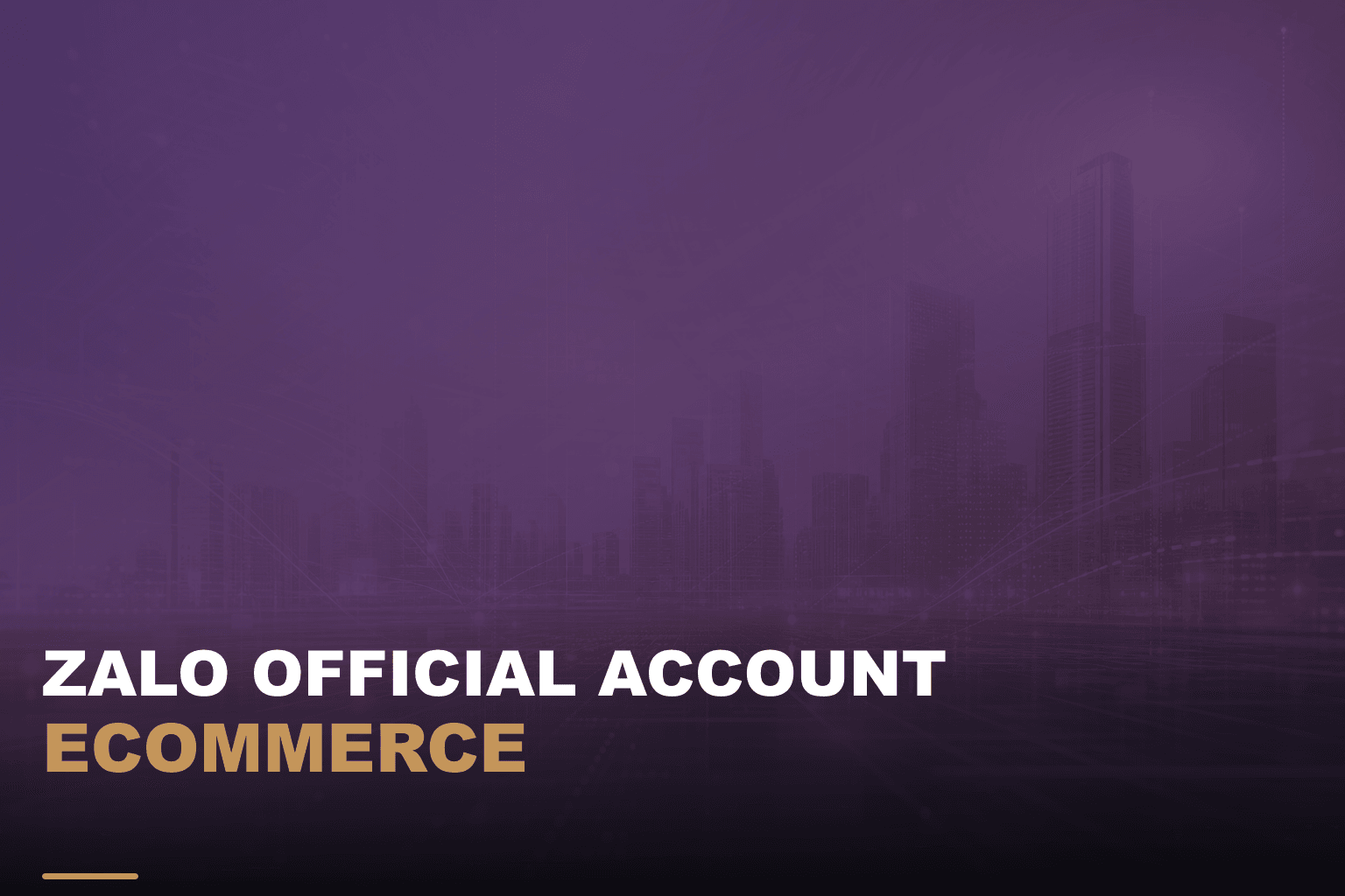 Zalo official account ecommerce