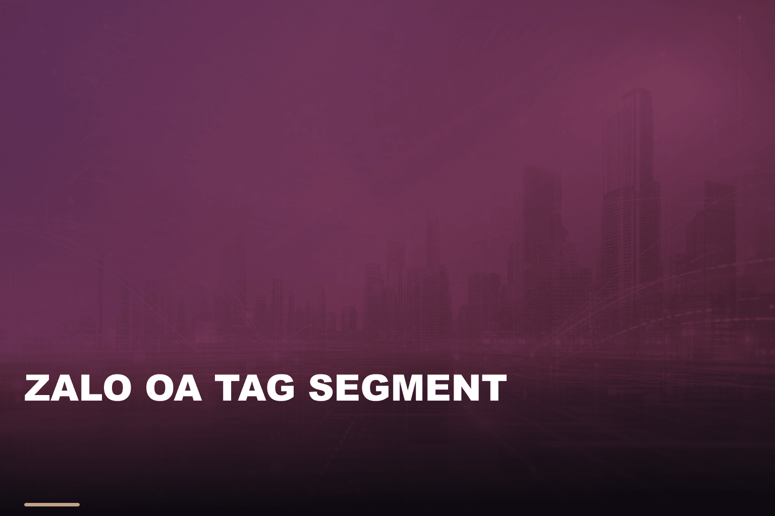 Zalo oa tag segment